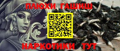 гашик Новокубанск